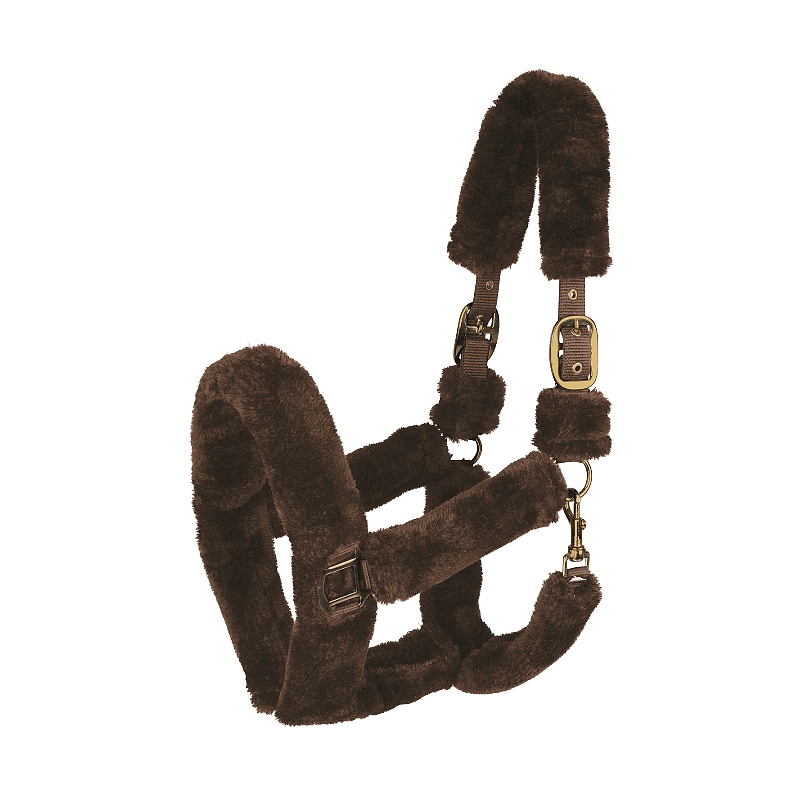 Halter Cozy