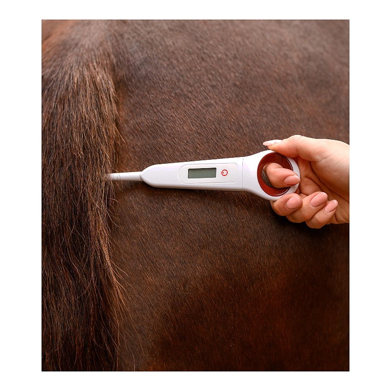 Digital Thermometer for horses - Finntack