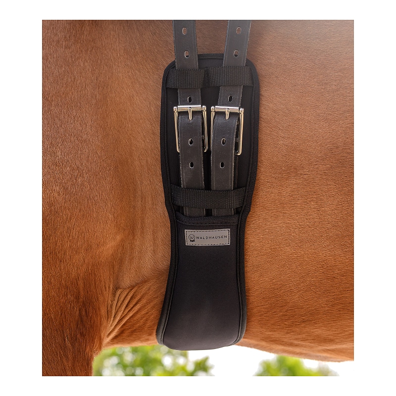 Sottopancia da dressage con gel