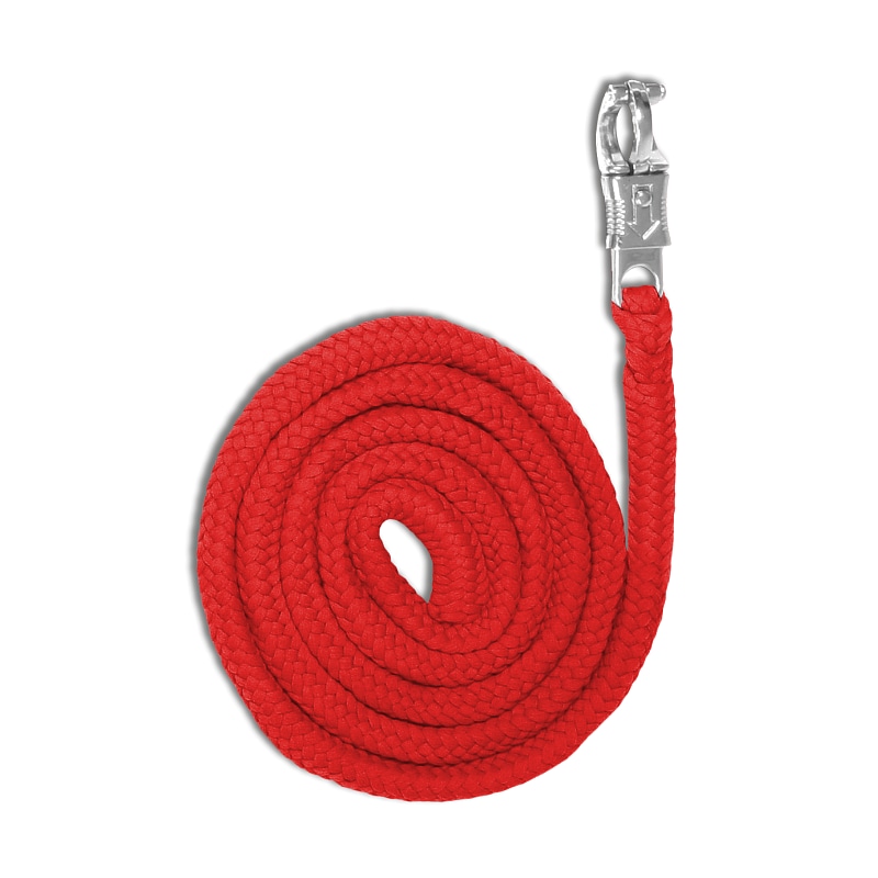 Lead Rope Economic panic hook