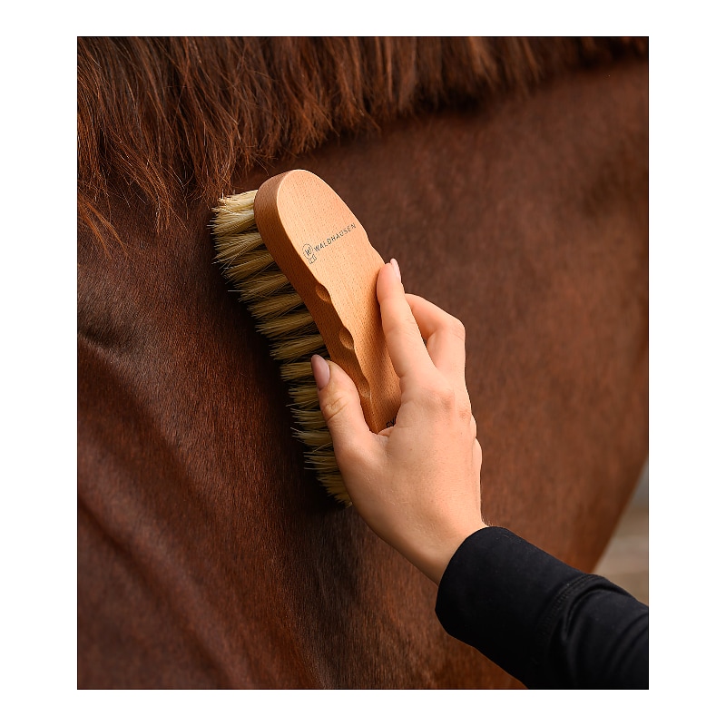Exclusive Line Contour Brush