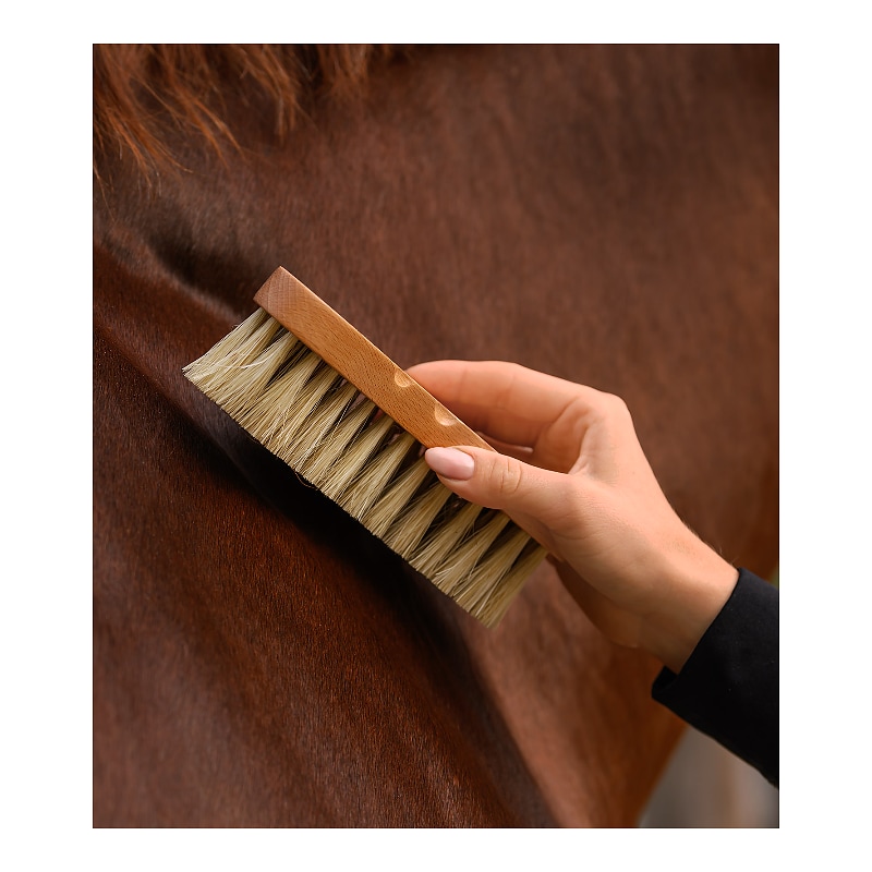 Exclusive Line Contour Brush