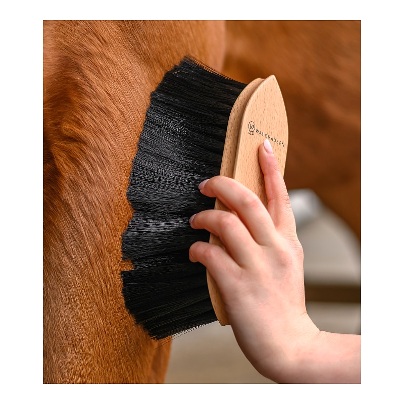 Exclusive Line Dust Brush