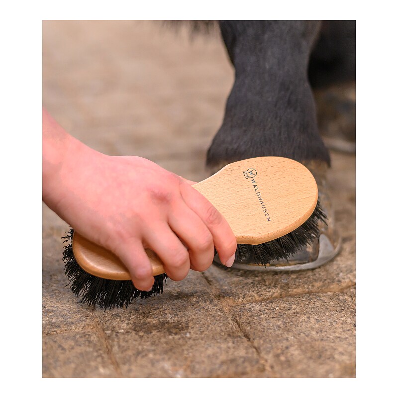 Brosse à sabots Exclusive Line