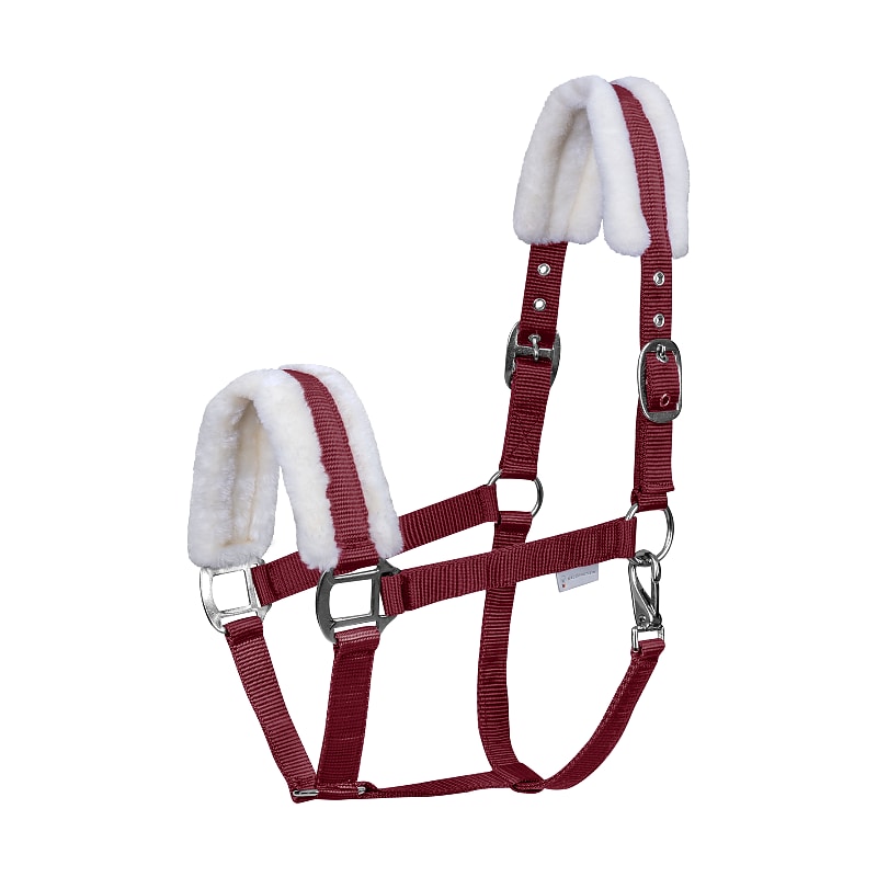 Halter First