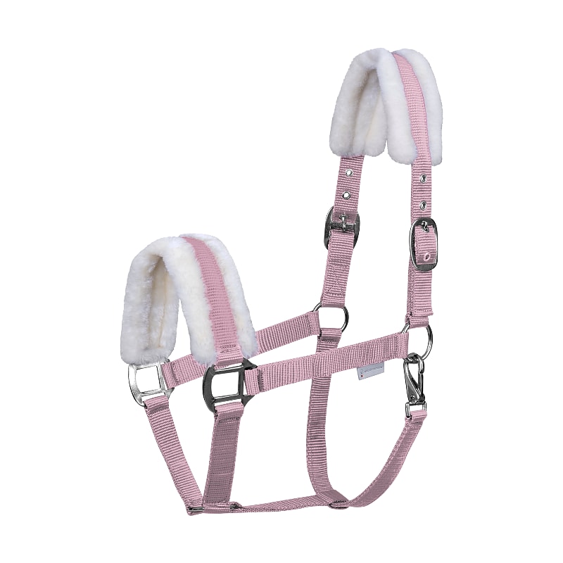 Halter First