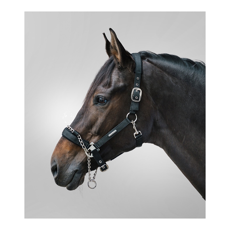 Cabezada de seguridad Halter Pro Safety