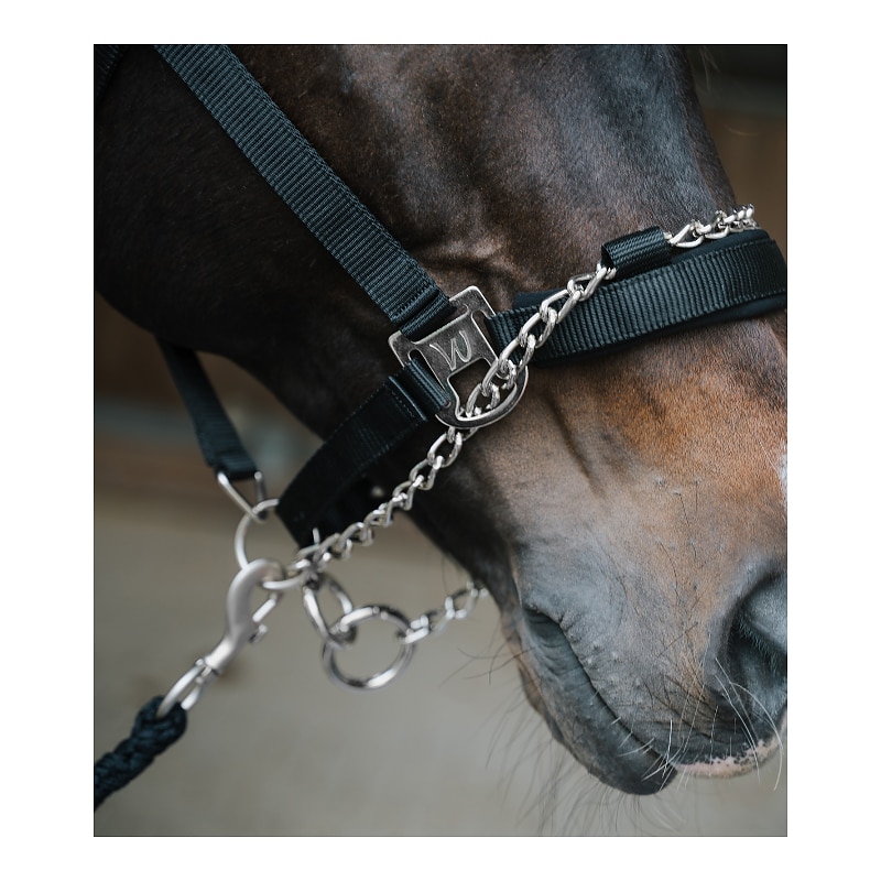 Cabezada de seguridad Halter Pro Safety