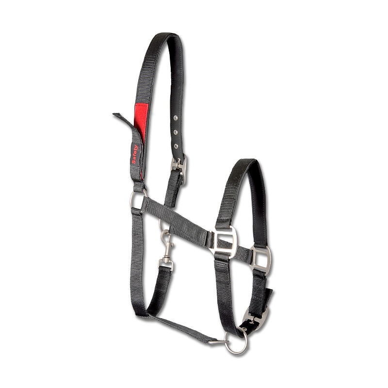Safety black, Pony