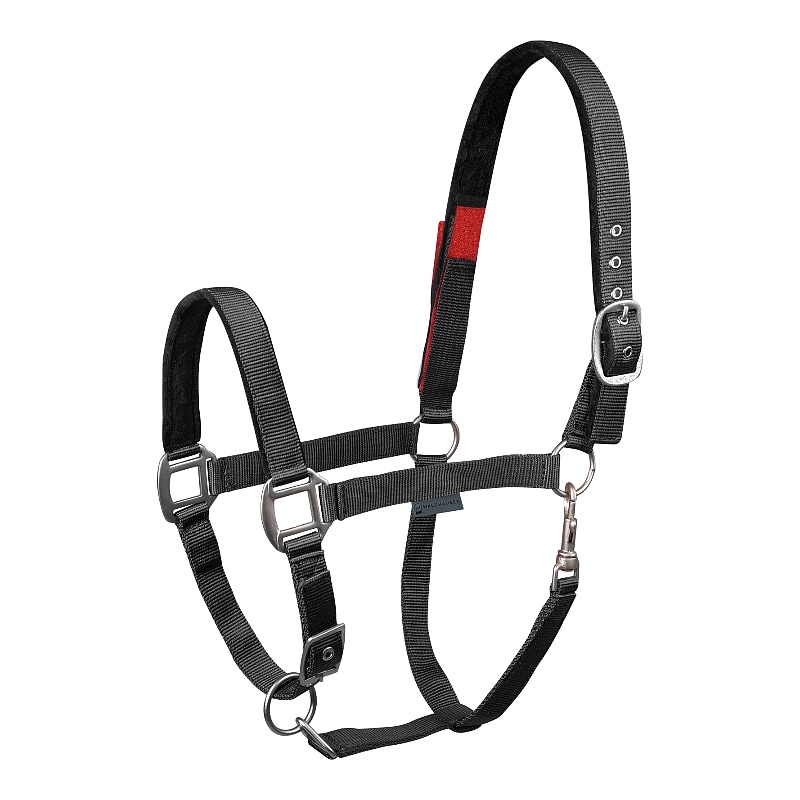 Safety black, Pony