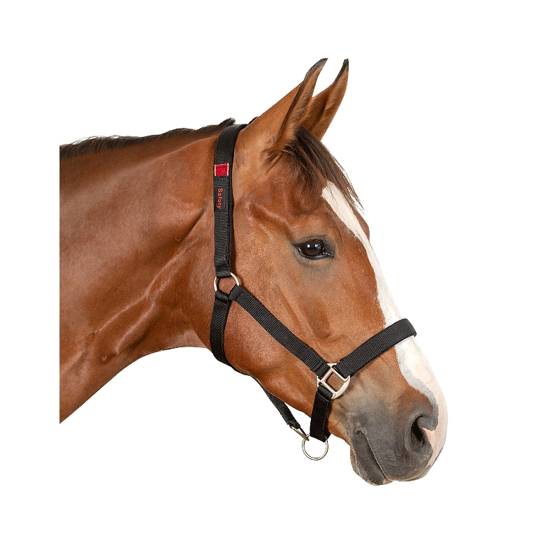 Safety black, Pony