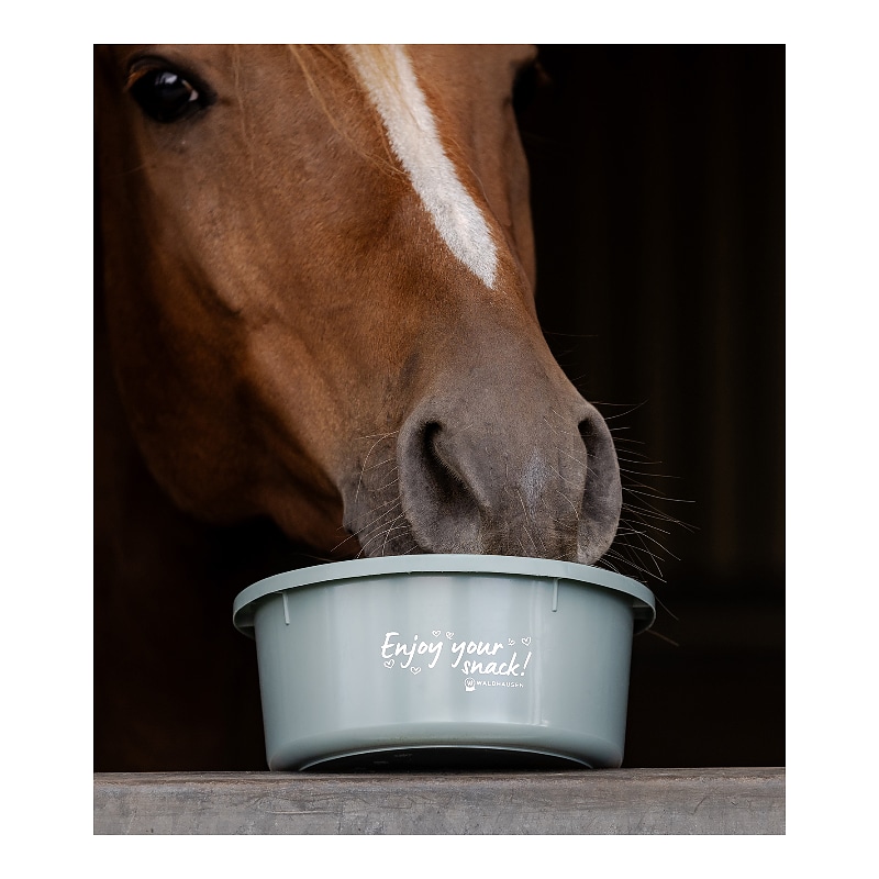Petit bol de nourrissage « Enjoy your snack » avec couvercle