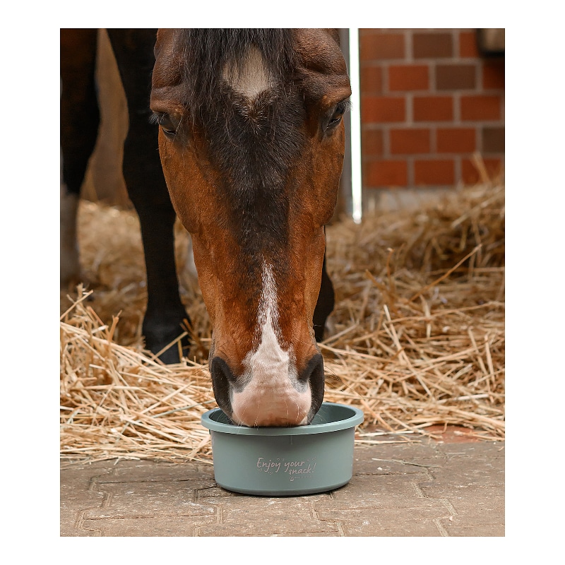 Petit bol de nourrissage « Enjoy your snack » avec couvercle