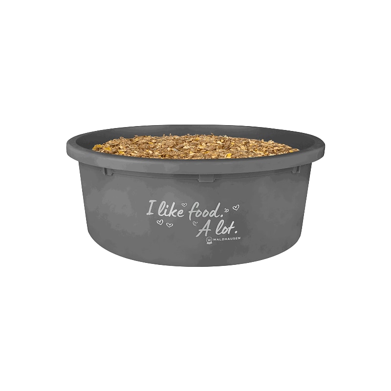 Foderskål XL med lock "I like food. A lot."
