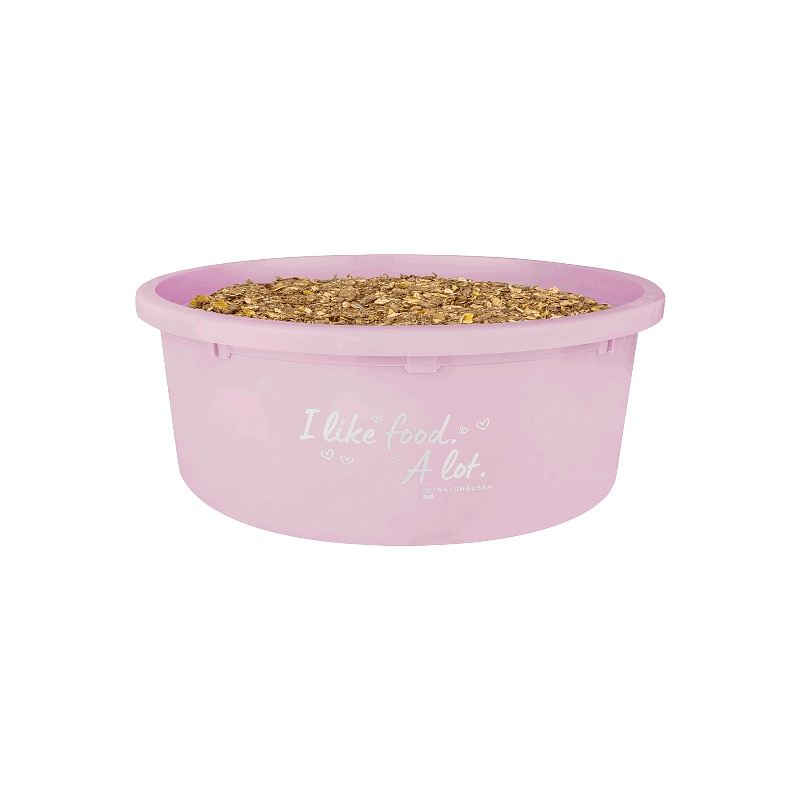 Foderskål XL med lock "I like food. A lot."