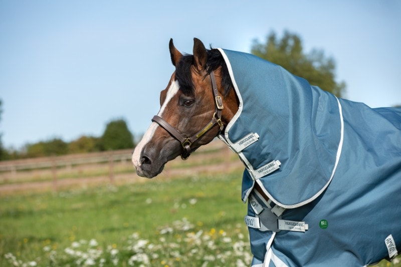 Horseware Amigo® AmECO 12 Plus Weidedecke (100g Leicht)