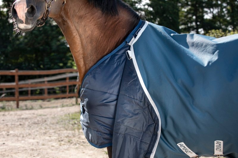 Horseware Amigo® AmECO 12 Plus Weidedecke (100g Leicht)