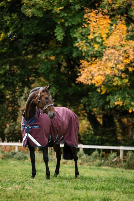 Horseware Amigo® 1200D Weidedecke 50g