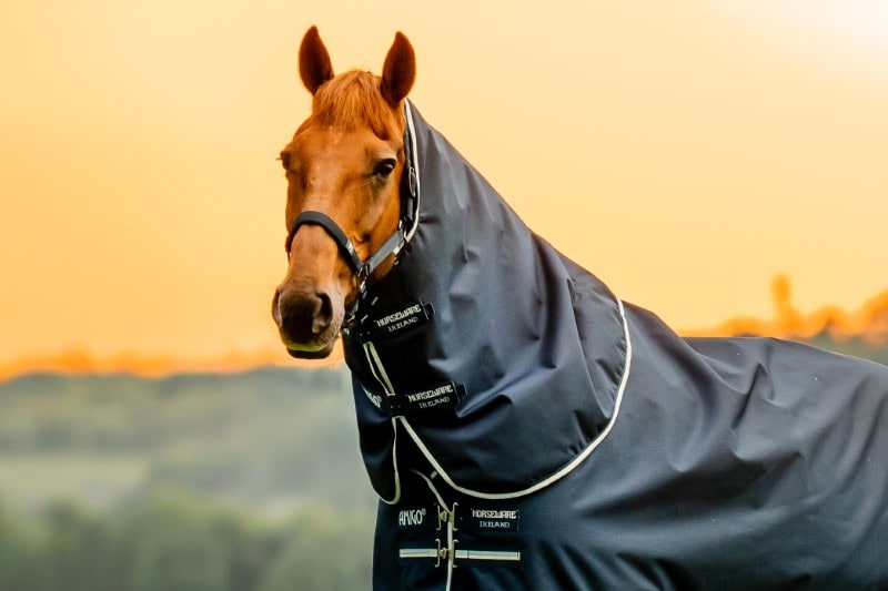 Horseware Amigo® Ripstop 900D Turnout Hood 0g