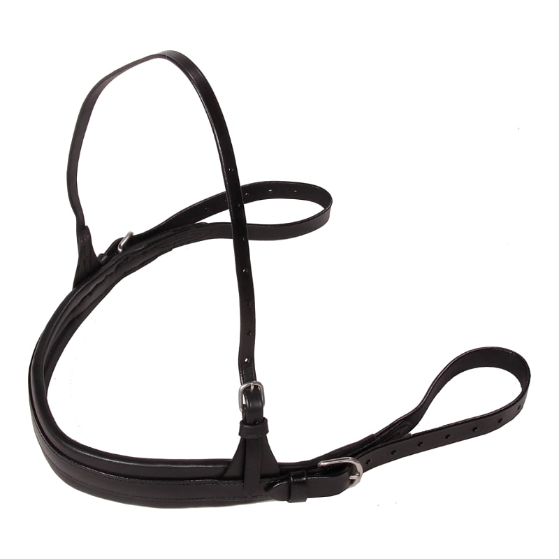 GP-Tack Pony Breast collar training with short lines