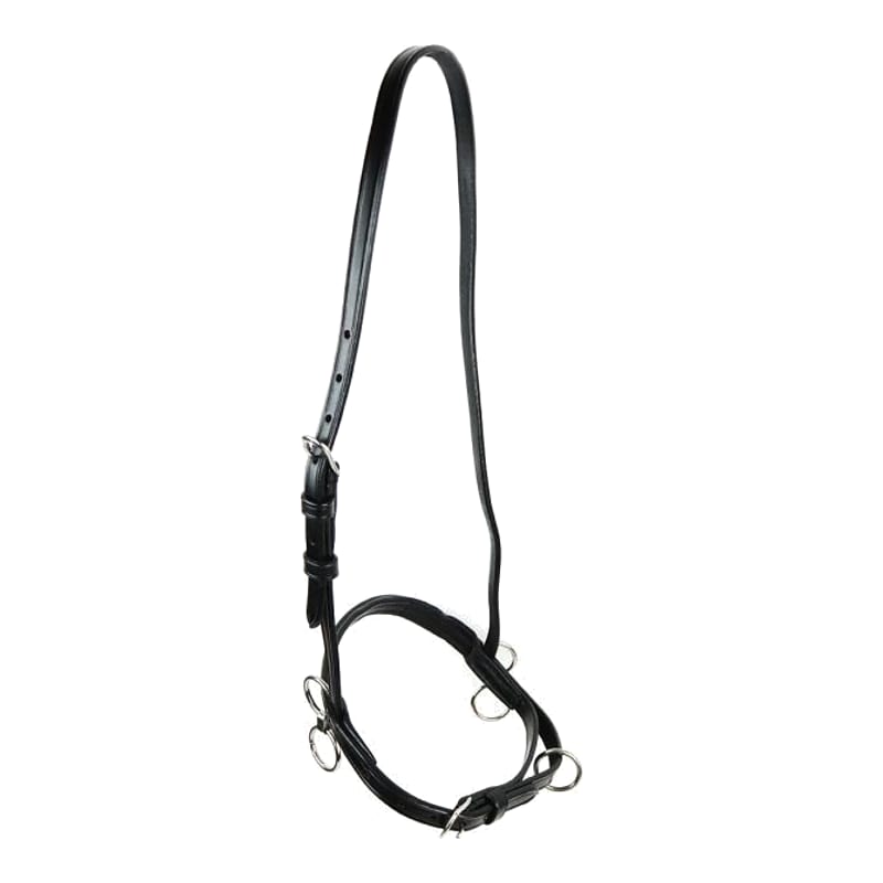GP-Tack Pony Head halter leather