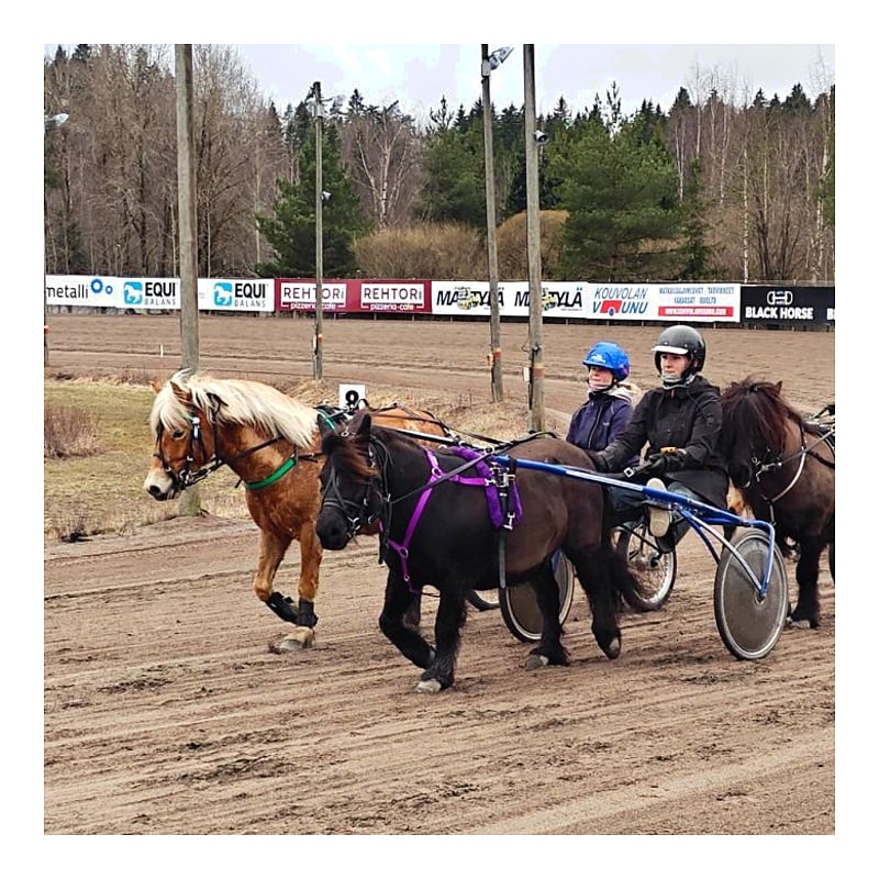 Star Tack Schabracke Fleece Pony