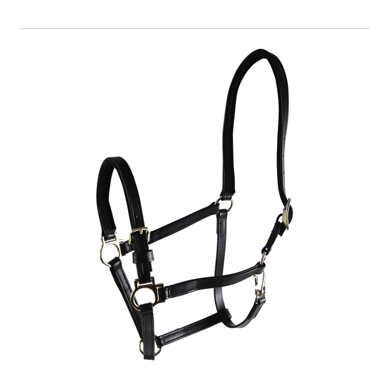 Star Tack Pro Biothane halster 19 mm met gesp op de neusriem