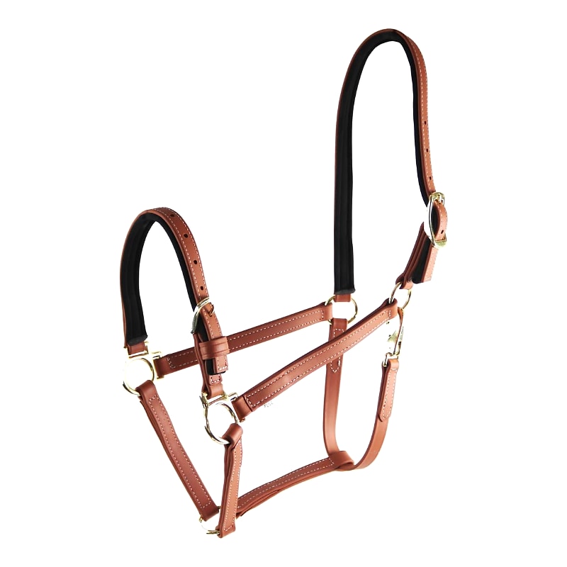 Star Tack Pro Biothane halter 19 mm with buckle on the nose