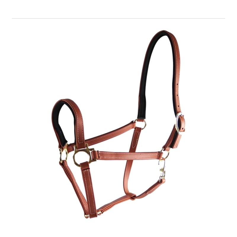 Star Tack Pro Biothane halster 19 mm zonder gesp op de neusriem