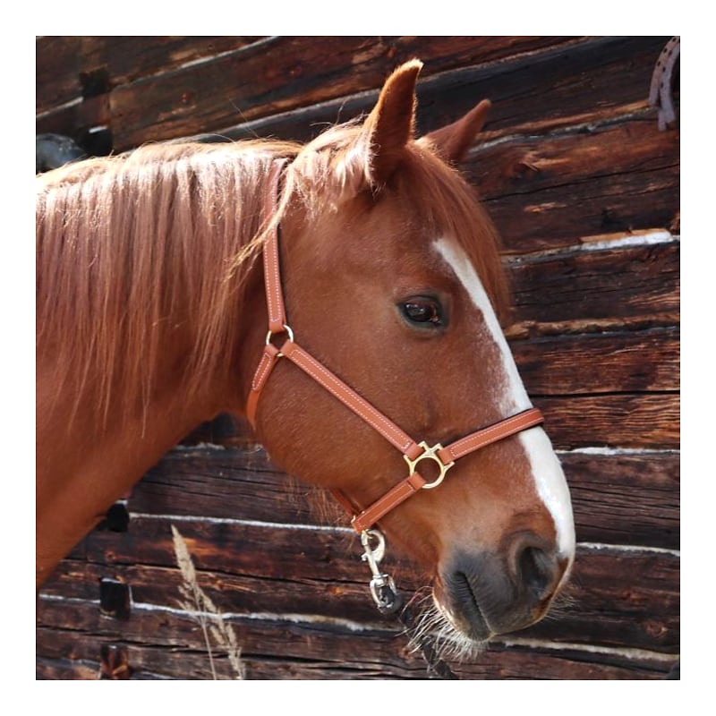 Star Tack Pro Biothane halster 19 mm zonder gesp op de neusriem