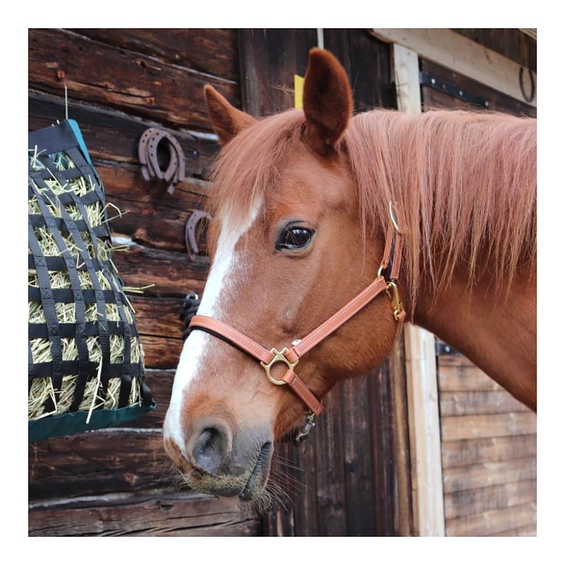 Star Tack Pro Biothane halster 19 mm zonder gesp op de neusriem