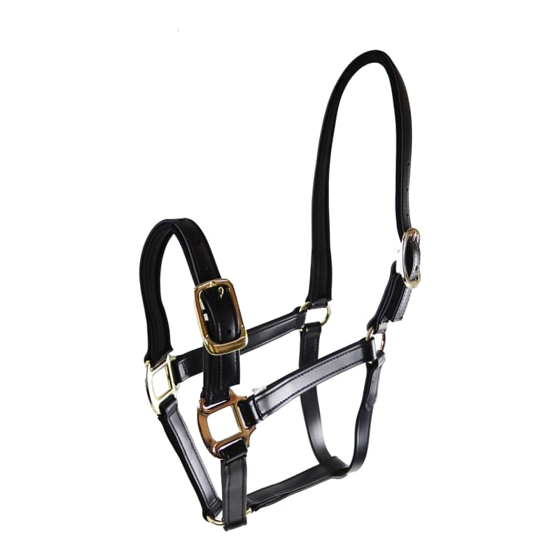 Star Tack Pro Biothane halster 25 mm met gesp op de neusriem
