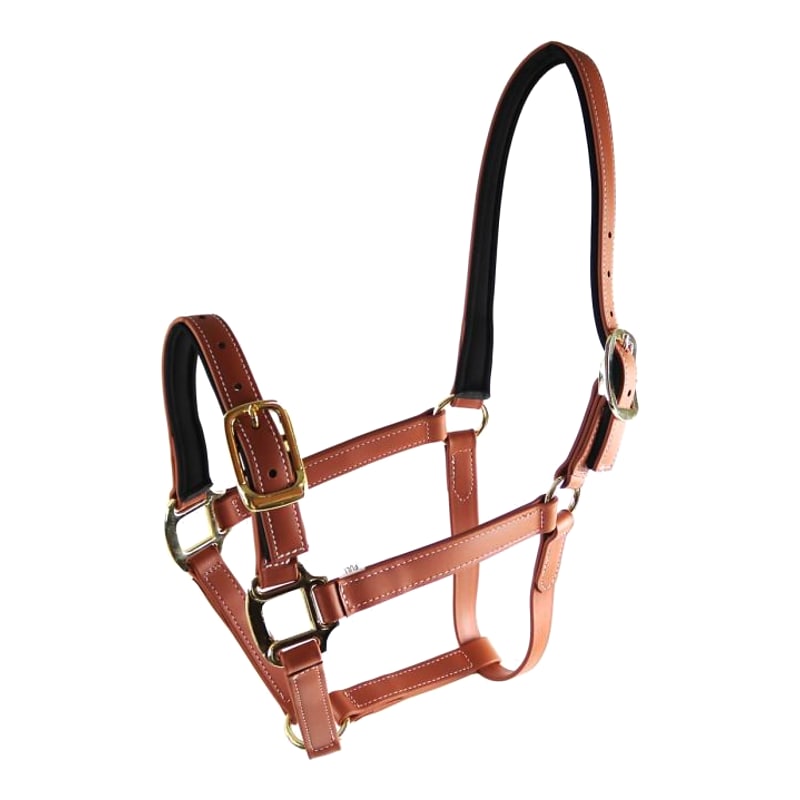 Star Tack Pro Biothane halster 25 mm met gesp op de neusriem
