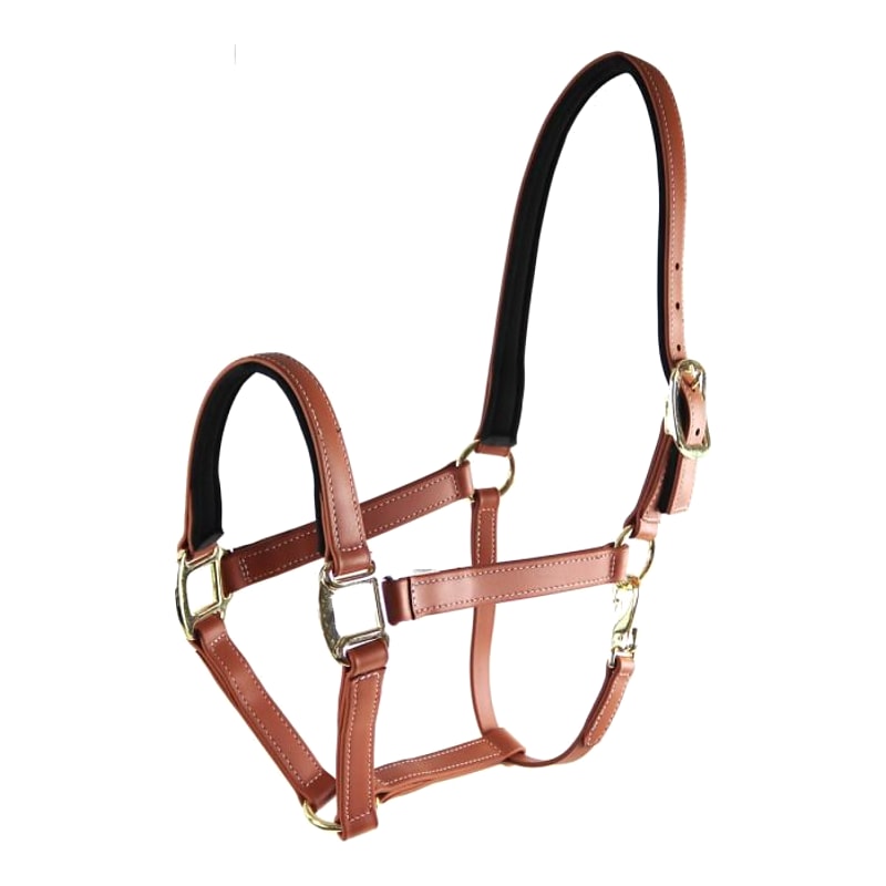 Star Tack Pro Biothane halster 25 mm zonder gesp op de neus