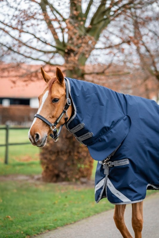 Horseware Amigo 1200D Couverture d'Extérieur Intégrée 150g