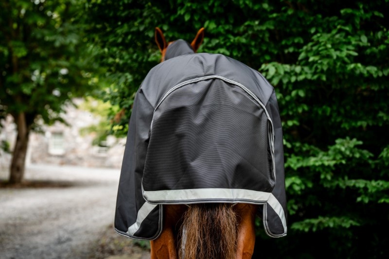 Horseware Rambo 1680D Plus Couverture d'extérieur 250g VL