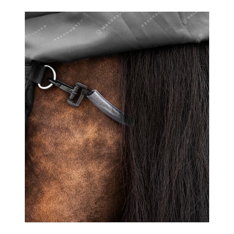 Coperta da paddock SCANDIC, 50 g