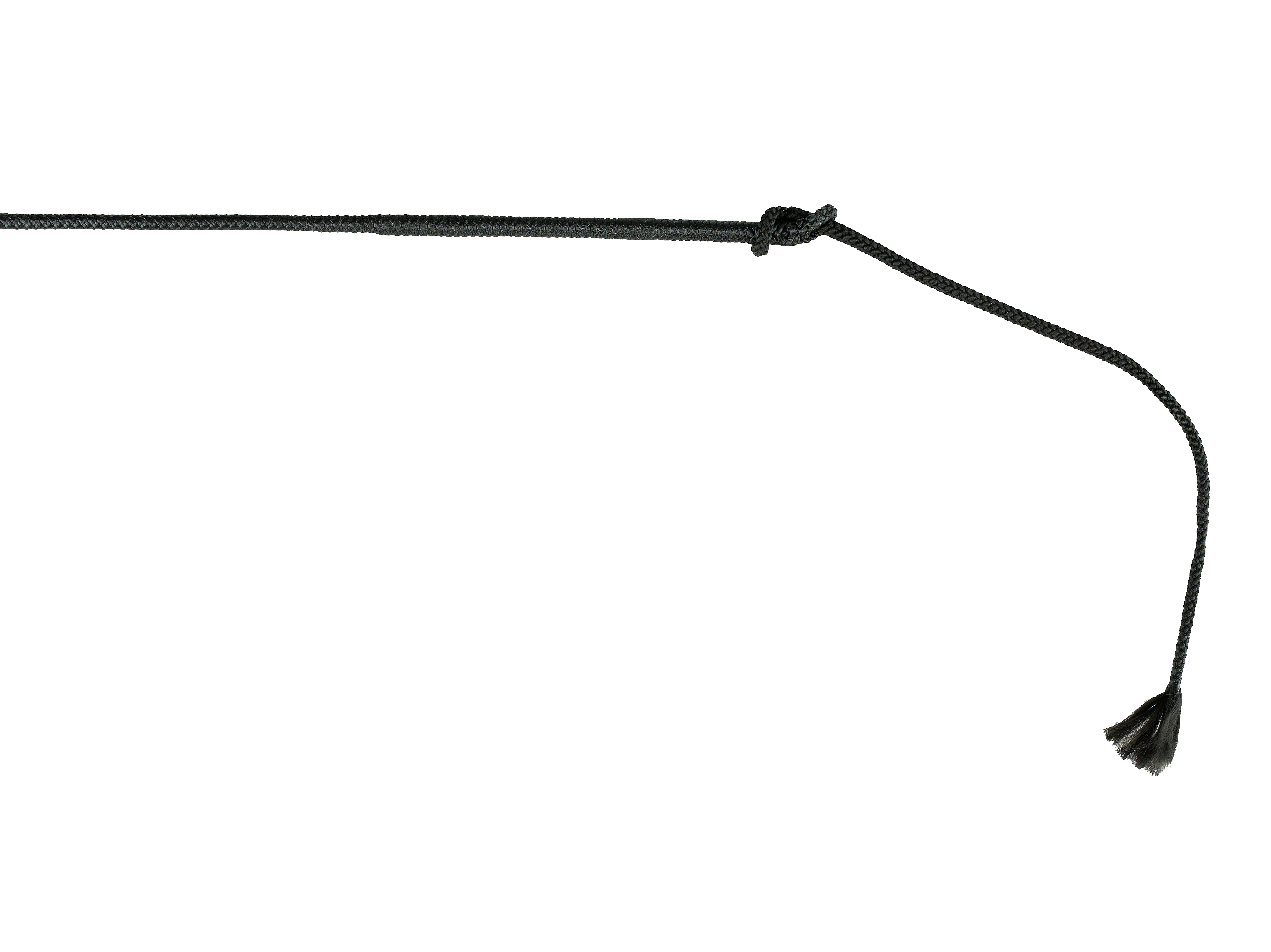 Finntack Pro 45" Kjørepisk, trav (115 + 17 cm)