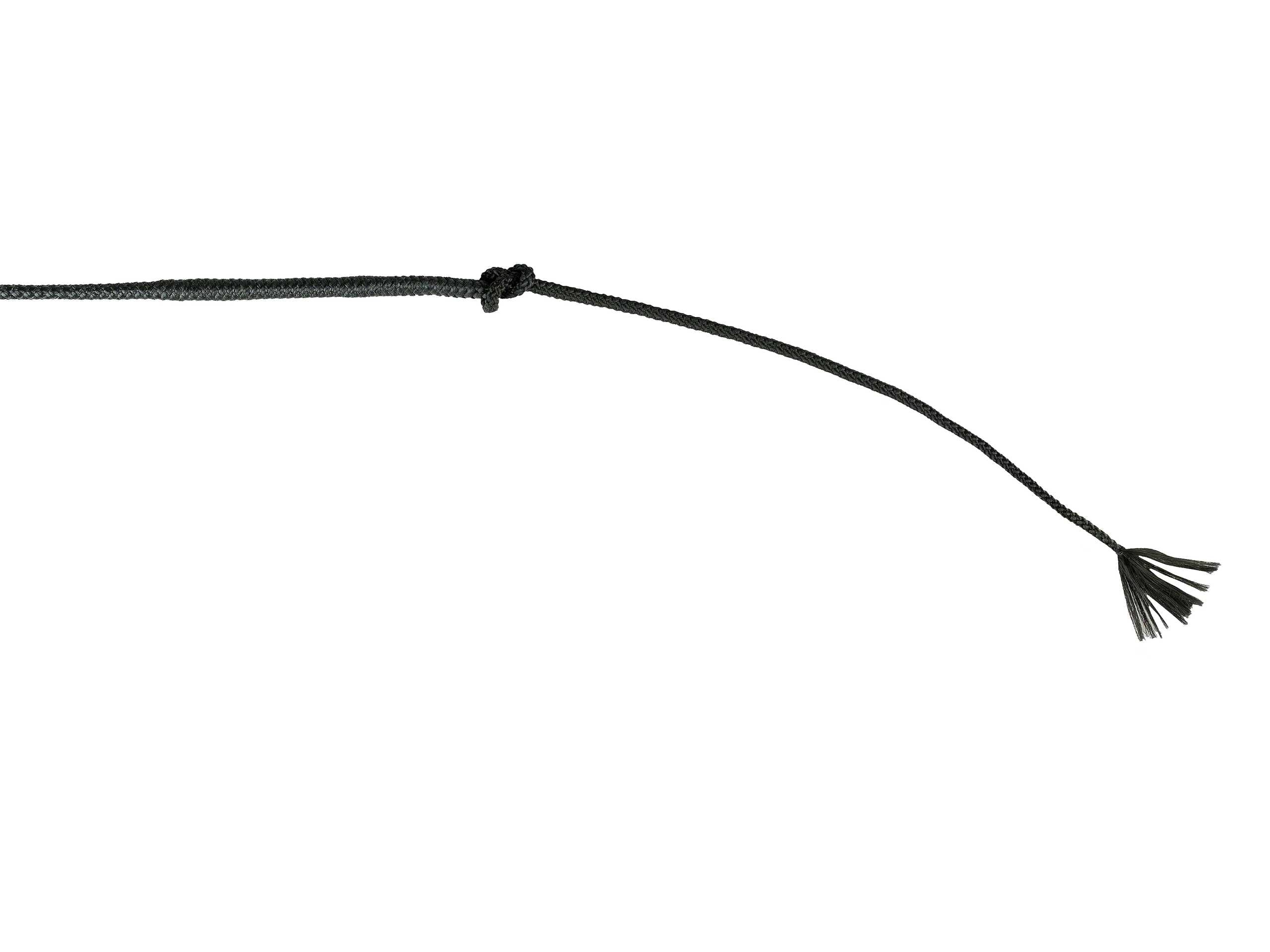 Pro 60" kjørepisk, travtrening (155 + 17 cm)