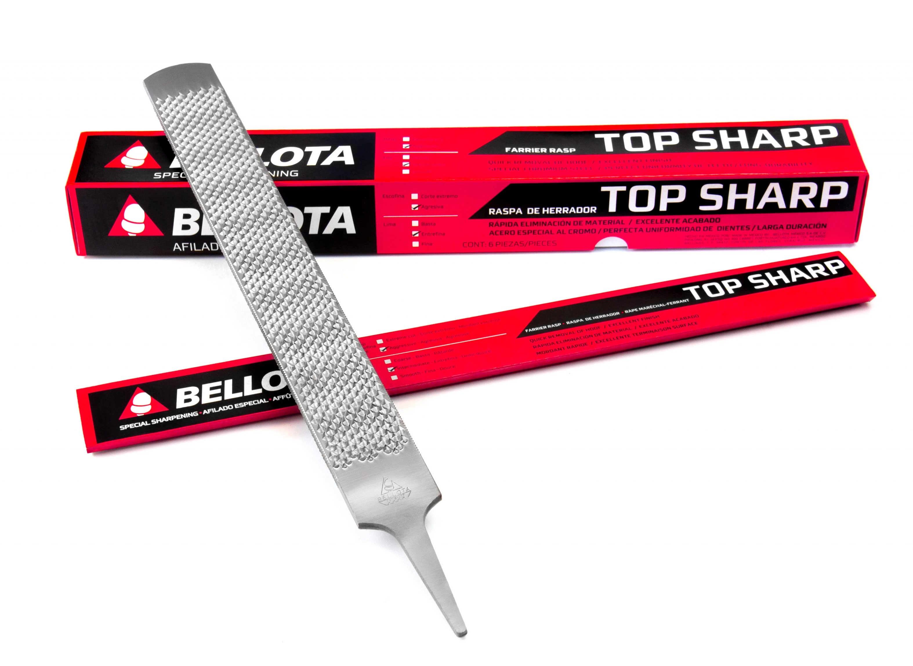 Best Farrier Hoof Rasp at Peter Coffey blog