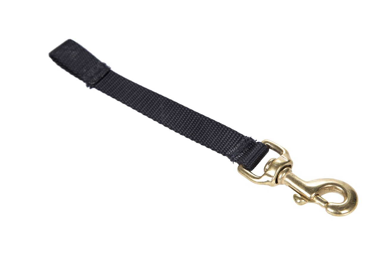 Cinghia Sostituzione Verricello Rod Saver WS16S - Poliestere Con Moschettone - Foto 2