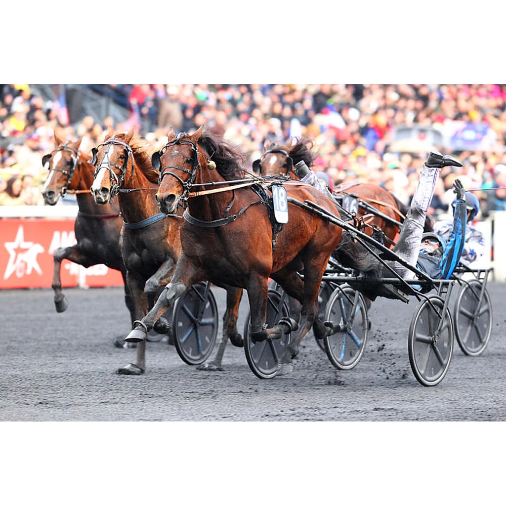 Finntack YANKEE sulky mit carbon Rad 28" *(zusätzliche Lieferzeit)
