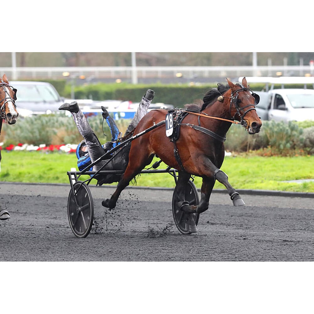 Finntack YANKEE sulky mit carbon Rad 28" *(zusätzliche Lieferzeit)