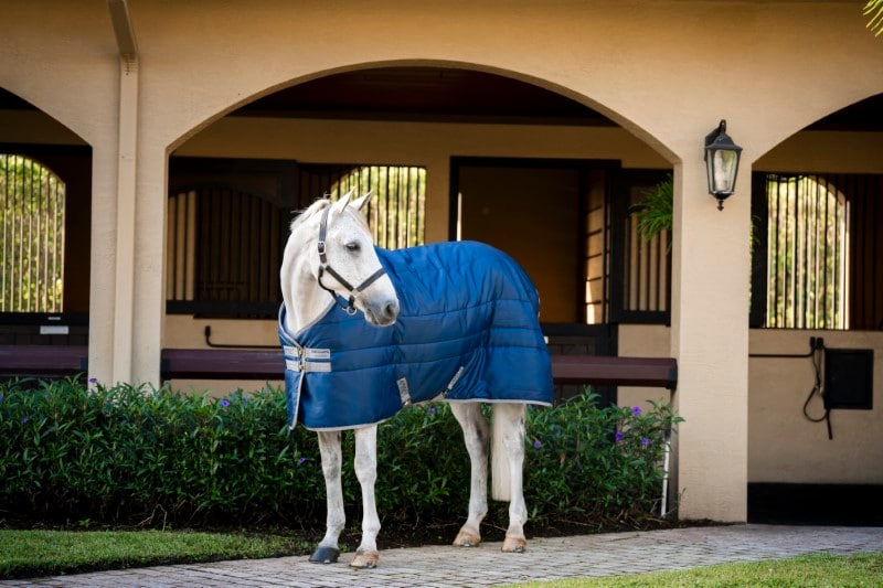 Horseware Amigo Liner Diamond Insulator 100g