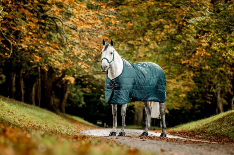 Horseware Amigo Liner Diamond Insulator 100g