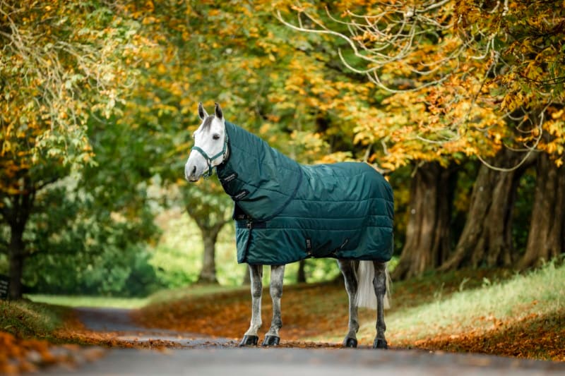 Horseware Amigo Liner Diamond Insulator 200g - Podkładka Polarowa