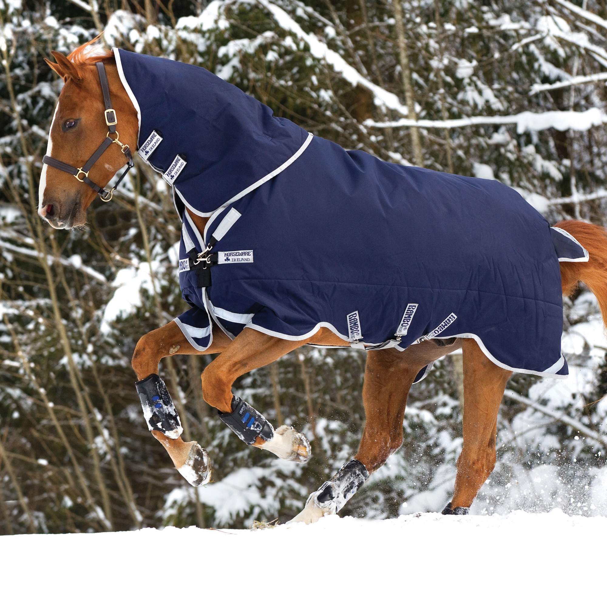 Horseware Rambo Original Turnout with Leg Arches, 200g