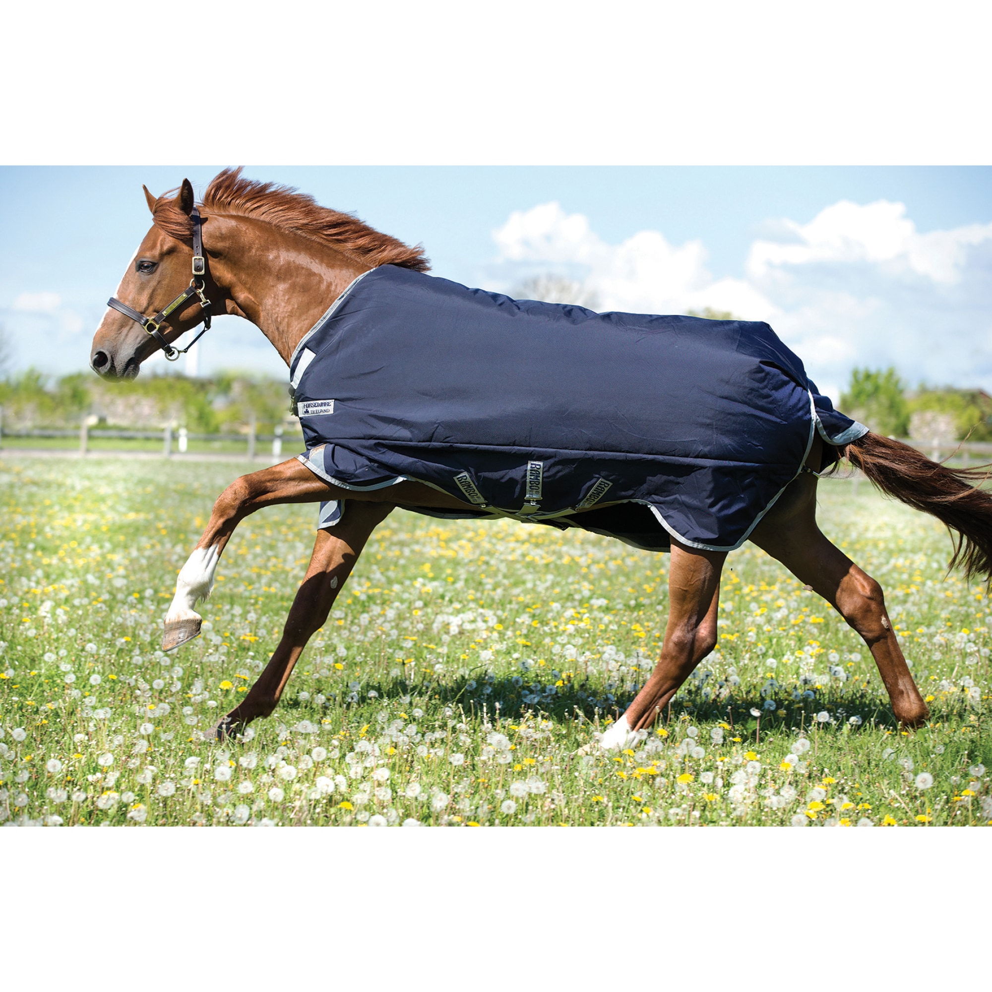 Horseware Rambo Original Weidedecke mit Beinausschnitt, 200g