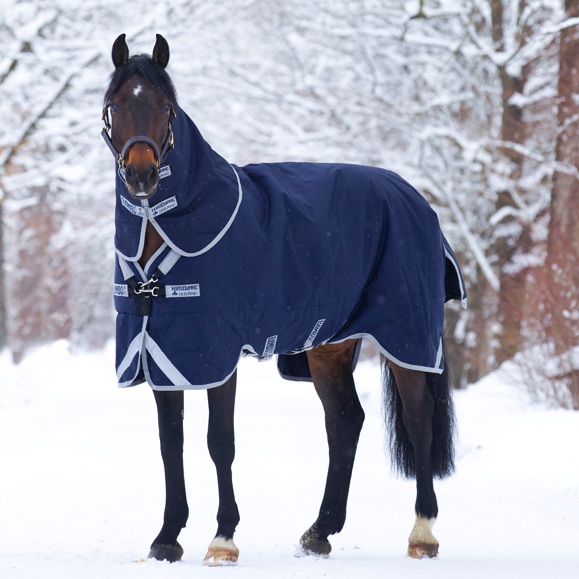 Couverture D'extérieur Pour Cheval Rambo Mack In A Sack – Imperméable, Avec Couvre-cou – Taille S à XL