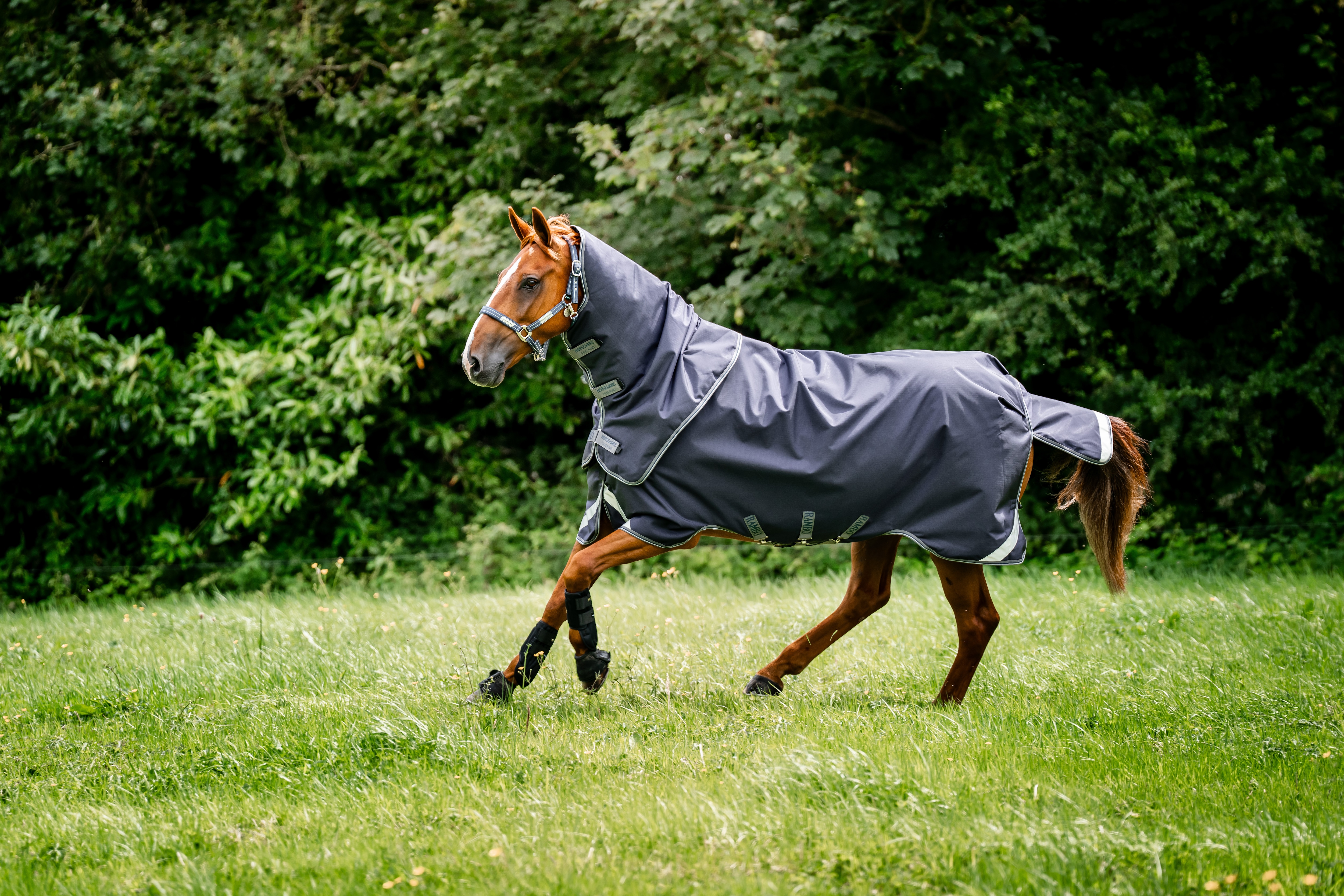 Horseware Rambo Duo Force 2.0 Turnout (100g Outer & 100g Liner with 300g Liner)